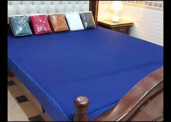 Matress Safegaurd