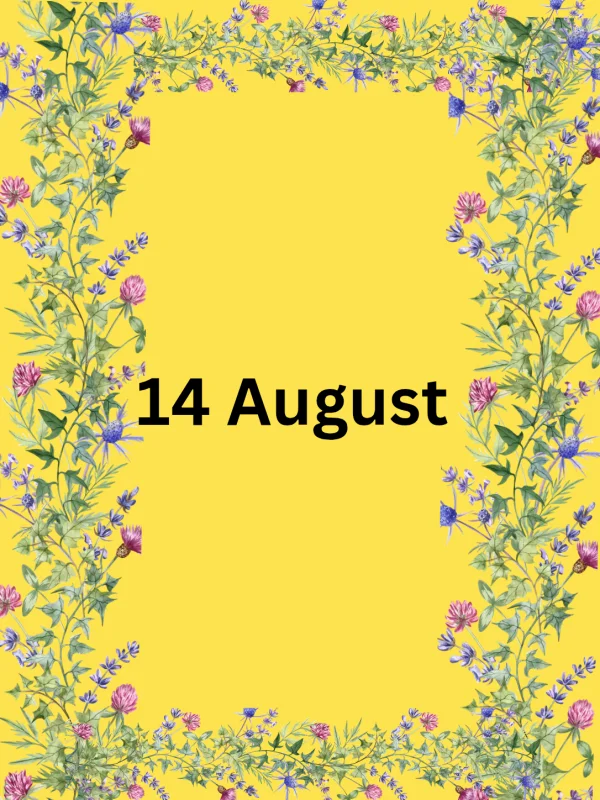 14 August Sale is live